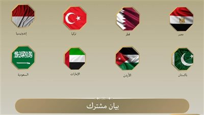 مصر والأردن والإمارات وإندونيسيا وباكستان وتركيا والسعودية وقطر يدينون قانون الإعدام الإسرائيلي بحق الفلسطينيين