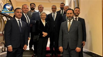 وزير الخارجية: مصر تسخر جهودها الدبلوماسية لوقف التصعيد في المنطقة