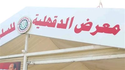 تنفيذًا لتكليفات محافظ الدقهلية.. نائب المحافظ يتفقد معارض المحافظة ومنافذ البيع بالمنصورة