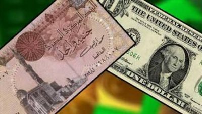 الدولار يسجل 54.29 جنيهًا في المركزي المصري.. تحديث شامل لأسعار الصرف بالبنوك