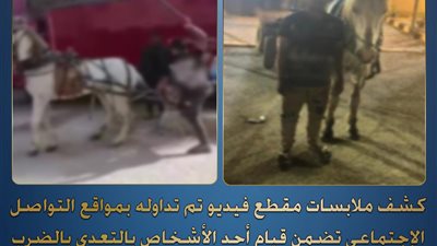 الداخلية تكشف ملابسات فيديو اعتداء على حصان بالعربة بالقليوبية وتضبط المتهم