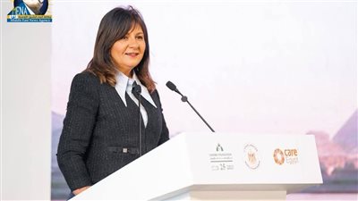 التحالف الوطني للعمل الأهلي التنموي يشارك في فعاليات 
