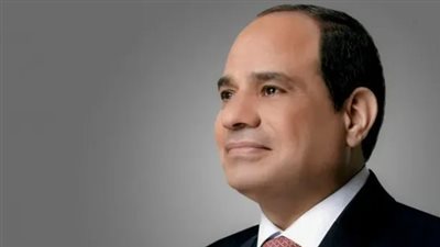 السيسي يشدد على الشراكة مع القطاع الخاص لجذب استثمارات أجنبية في تجارة التجزئة