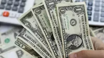 أسعار العملات اليوم.. الدولار الأمريكي يواصل أداءه العرضي داخل القطاع المصرفي