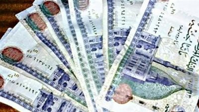 هل يتم تعديل موعد المعاشات؟ الهيئة القومية للتأمين الاجتماعي توضح الحقائق