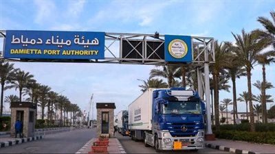 تواصل تدفق شحنات الترانزيت عبر خط “الرورو” بميناء دمياط