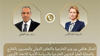 وزير الخارجية يبحث مع مسؤولة السياسة الخارجية بالاتحاد الأوروبي جهود خفض التصعيد الإقليمي