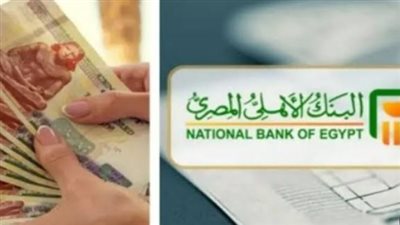 سباق الفائدة يشتعل.. كيف تختار بين شهادات البنوك الحكومية والخاصة اليوم؟