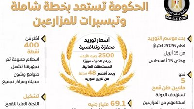 موسم الذهب الأصفر.. الحكومة تعلن انطلاق توريد القمح المحلي 2026 بخطة توريد شاملة