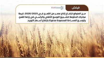 المركز الإعلامي لمجلس الوزراء: خطة حكومية شاملة وتيسيرات للمزارعين تزامنًا مع موسم توريد القمح 2026