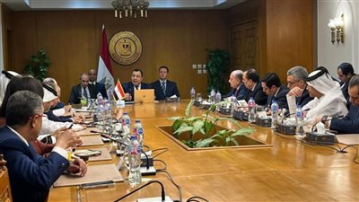 مساعد وزير الخارجية: الأمن القومي العربي جزء لا يتجزأ من الأمن القومي المصري