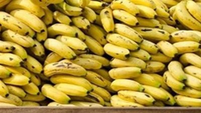أسعار الموز في الأسواق.. الفرق بين أسعار البلدي والمغربي والمستورد في تعاملات الأحد