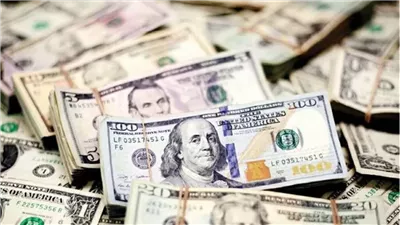 سعر الدولار اليوم السبت 25 أبريل 2026: استقرار ملحوظ في البنوك المصرية