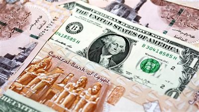 الدولار في البنك المركزي المصري: قراءة في أسعار الصرف الرسمية اليوم