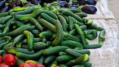 توازن السوق والوفرة: قراءة في أسعار الخضر والفاكهة بمحافظة الإسماعيلية