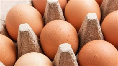 تحديثات بورصة البيض اليوم: استقرار أسعار الكرتونة في المزارع والمحال