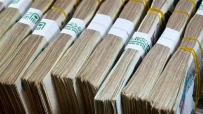 الشهادة البلاتينية 2026.. كيف تحسب أرباحك الشهرية بعد رفع الفائدة لـ 17.25%