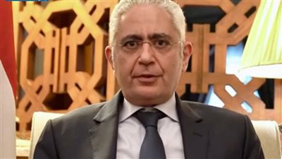 سفير مصر بفرنسا يشارك في ندوة بالجمعية الوطنية الفرنسية