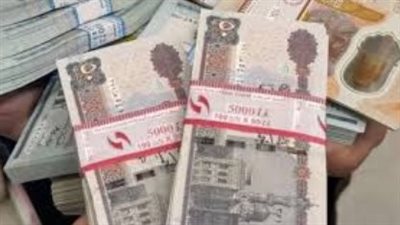 بشرى سارة لأصحاب المعاشات.. تحركات برلمانية عاجلة لحسم أزمة 