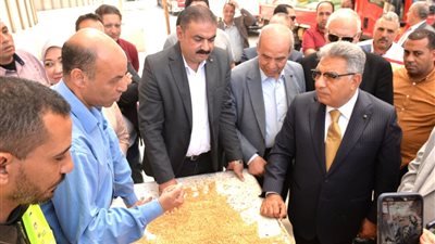 صوامع الدقهلية تستقبل القمح بكفاءة مع بداية الحصاد