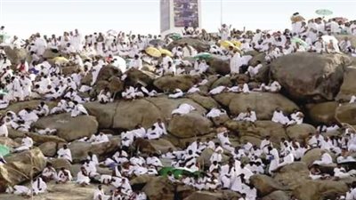 سر تسمية يوم عرفة بهذا الاسم.. حقائق تاريخية ومكانة الركن الأعظم في الإسلام