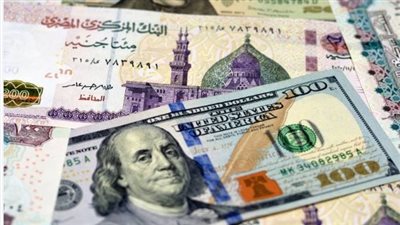 سعر الدولار في مصر.. ثبات في حركة البيع والشراء بمختلف البنوك الحكومية والخاصة