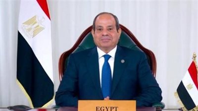 الرئاسة: المشروع يجسد عمق التعاون بين مصر وشركائها الدوليين ويسهم في دعم جهود التنمية
