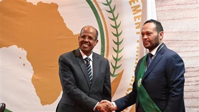 مصر تكتسح انتخابات البرلمان الأفريقي بفوز محمد حلاوة برئاسة لجنة التجارة والجمارك