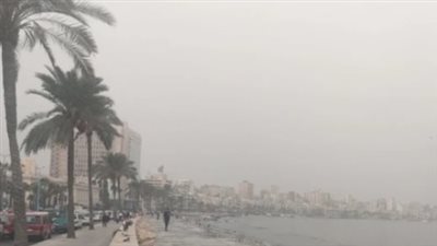 استقرار نسبي في حالة الطقس بالإسكندرية مع ظهور متقطع للسحب وفرص أمطار خفيفة