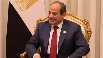 السيسي وأمين 