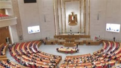 وكيل اتصالات النواب: الشراكة المصرية الإماراتية تدعم استقرار المنطقة وتنميتها