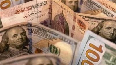 استقرار سعر الصرف في مصر.. الدولار يسجل 53.48 جنيه في أغلب البنوك الوطنية