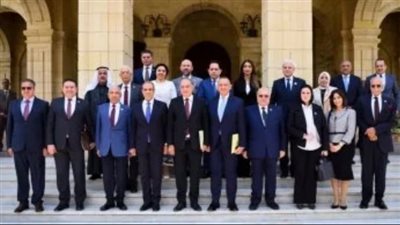 وزير الخارجية في مجلس الشيوخ: أمن الخليج خط أحمر ومساس مباشر بالأمن القومي المصري