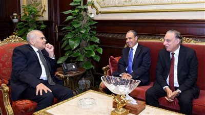 وزير الخارجية يؤكد أهمية التنسيق مع مجلس الشيوخ لتعزيز الدبلوماسية المصرية