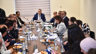 رئيس جامعة القاهرة يبرز جهود الجامعة في تعزيز ثقافة حقوق الإنسان أمام البرلمان