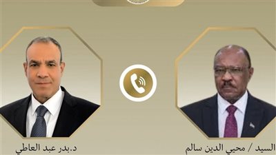 مصر تؤكد دعم السودان في مواجهة الأزمة وتدين استهداف مطار الخرطوم