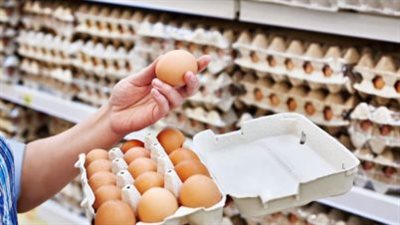 أسعار كرتونة البيض الأحمر والأبيض اليوم.. فروق الأسعار بين الجملة والقطاعي للمستهلك
