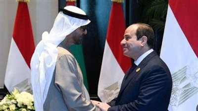 الرئيس السيسي لـ محمد بن زايد: 