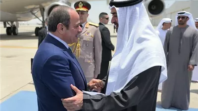 برلماني: لقاء الرئيس السيسي ومحمد بن زايد يحمل رسائل حاسمة لحماية الأمن العربي
