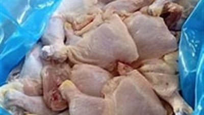 ضبط وإعدام 3 أطنان دواجن نافقة وغير صالحة للاستهلاك بالجيزة