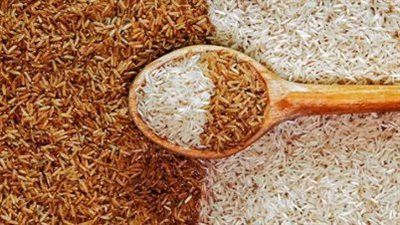 سعر طن الأرز الشعير اليوم الاثنين 11 مايو 2026 وتحديثات الأسواق والمضارب