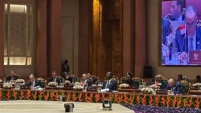 عبد العاطي يطالب بمعالجة الظلم التاريخي لأفريقيا في مجلس الأمن ويتمسك بتوافق أوزوليني