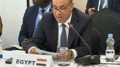 وزير الخارجية يؤكد دعم مصر لإصلاح مجلس الأمن خلال اجتماع وزاري في نيروبي