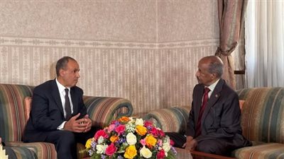 مصر وإريتريا تؤكدان رفض أي ترتيبات أمنية من أطراف غير مشاطئة للبحر الأحمر