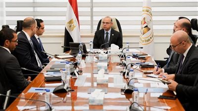 وزير الاستثمار يبحث مع DPI وEgypt Ventures ضخ استثمارات جديدة في السوق المصري
