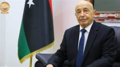 عقيلة صالح من القاهرة: مصر الملجأ الوحيد للعرب والروابط مع ليبيا صمدت أمام المؤامرات