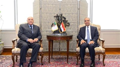تعزيز العلاقات المصرية - الجزائرية.. تشاور سياسي وتنمية اقتصادية وثقافية