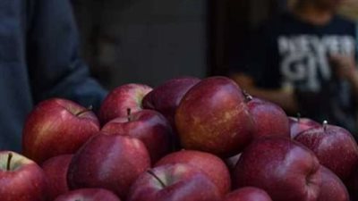 بورصة أسعار الفاكهة تحديث مباشر.. كم سجل سعر كيلو التفاح المحلي والأناناس اليوم؟