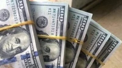 استقرار سعر الدولار في مصر مقابل الجنيه اليوم الأحد 24 مايو 2026 مع بداية تعاملات الأسبوع
