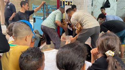 عقوبات صارمة للمخالفين.. لماذا يحظر القانون ذبح الأضاحي خارج المجازر الرسمية؟